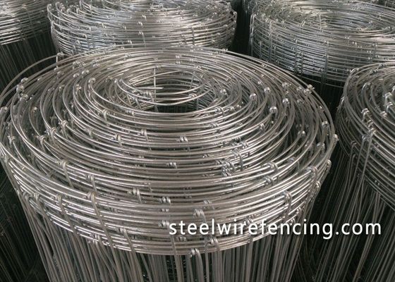 Chine Barrière soumise à un traitement thermique de cerfs communs de fil de tension avec l'entretien facile galvanisé de noeud fournisseur