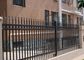 Barrière en acier de zinc en métal pour la protection de Countyard d'intimité, panneaux de barrière d'école fournisseur